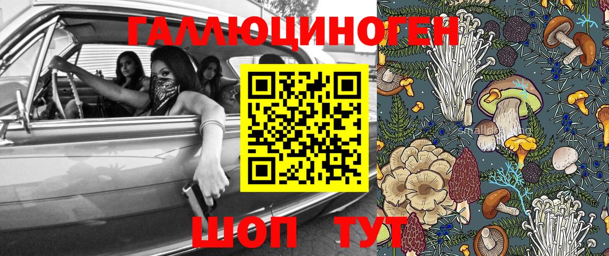Галлюциногенные грибы прущие грибы Дюртюли
