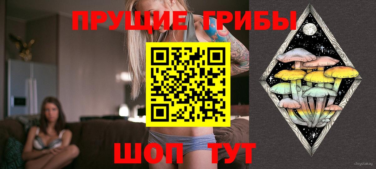 Галлюциногенные грибы Psilocybe  Галлюциногенные грибы мицелий  Вход с VPN  Дюртюли 